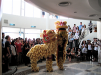 Lunar New Year
