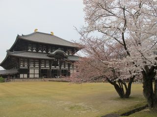 Nara