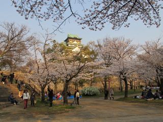 Ohanami 12