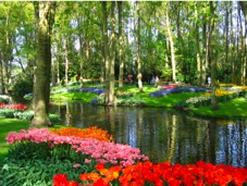 Keukenhof
