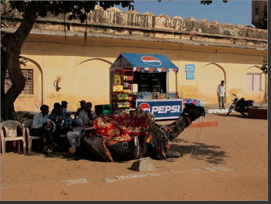 Jaipur-2